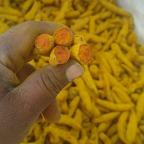 Dry Turmeric Finger - Color: Yellow