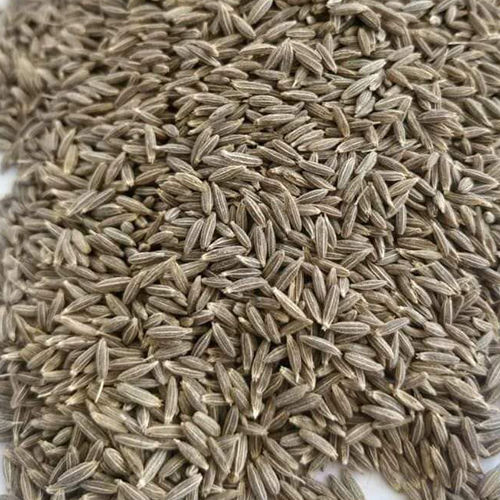 Cumin Seeds