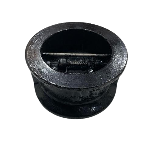 Cast Iron Dual Plate Check Valve