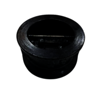 Cast Iron Dual Plate Check Valve