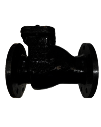 Swing Check Valve