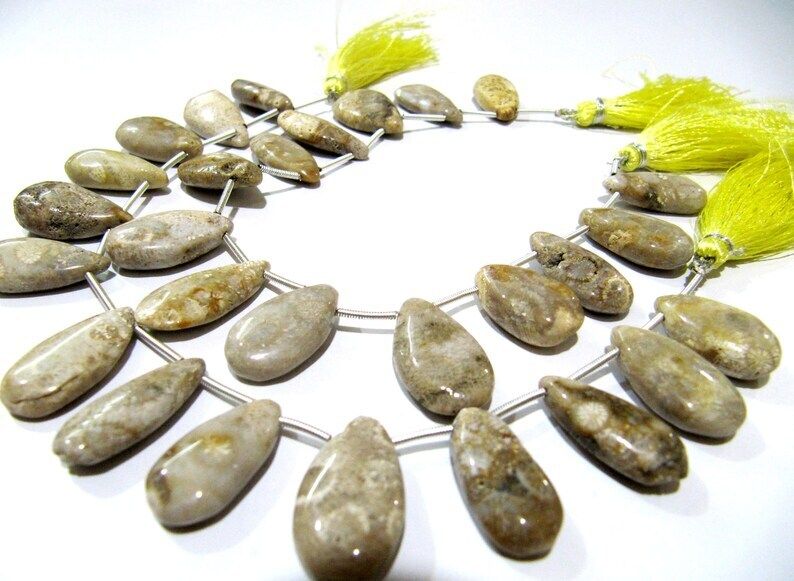 Natural Fossil Coral Pear Shape Plain 10x20mm To 12x22mm Beads Strand 8''long