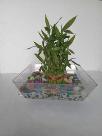 Acrylic Gift Tray - 9.5x9.5 Inches | Transparent Multi-purpose Tray For Home, Office, Parties, And Events