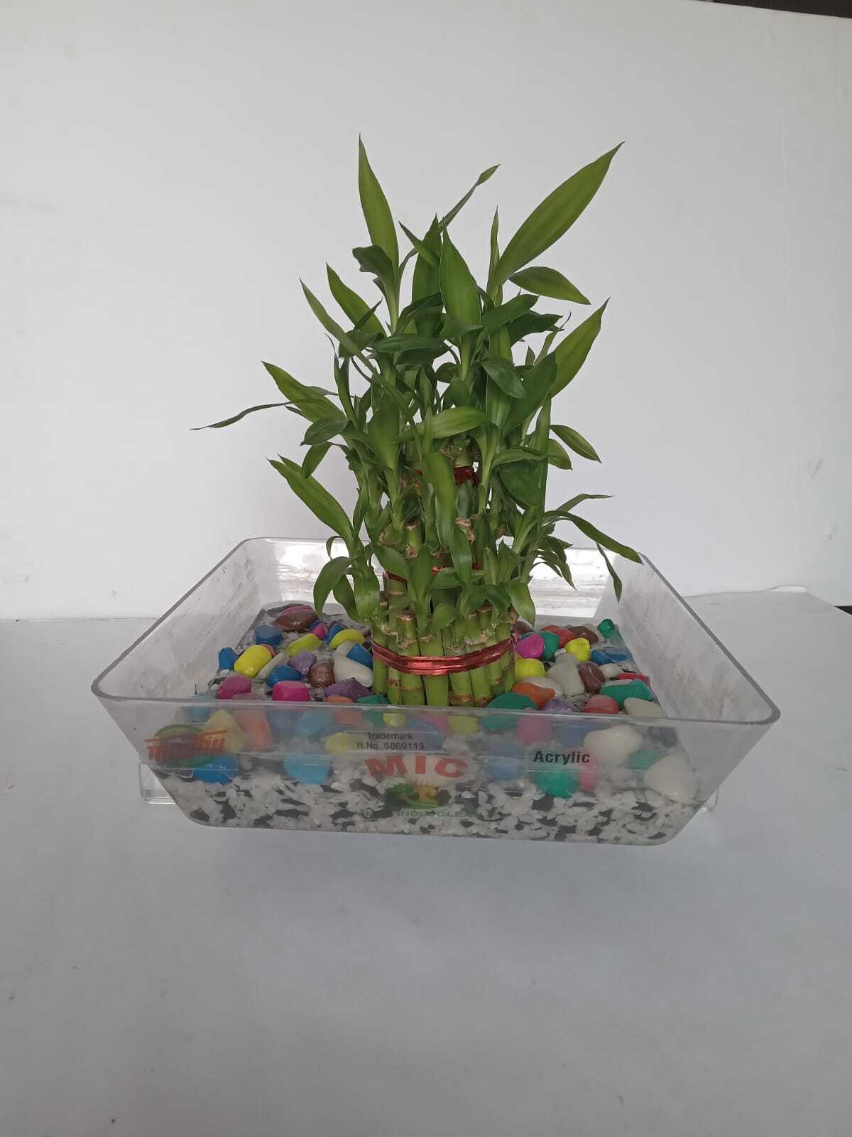 Acrylic Gift Tray