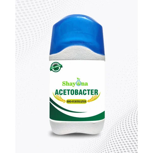 Acetobacter Bio Fertilizer