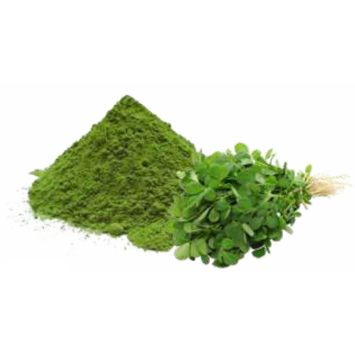 Fenugreek Leaf