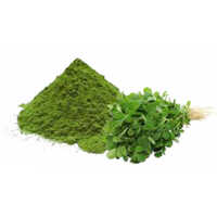 Fenugreek Leaf Powder