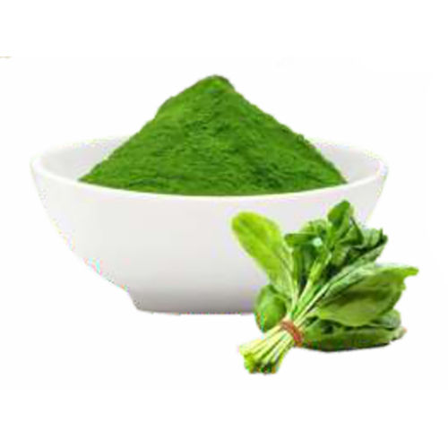 Spinach Leaf Powder - Product Type: Herbal Product