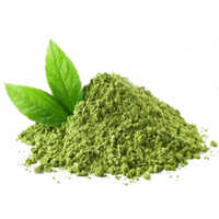 Spray Dried Mint Powder
