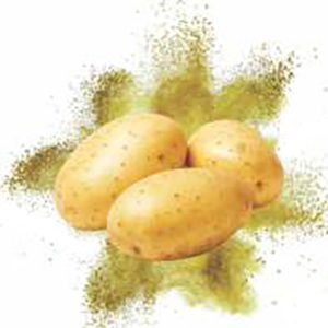 Spray Dried Potato Powder