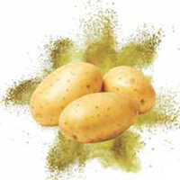 Spray Dried Potato Powder
