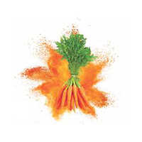 Spray Dried Carrot Powder