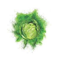 Spray Dried Cabbage Powder