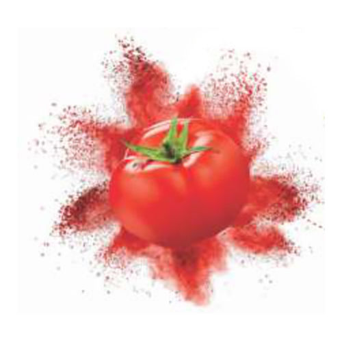 Spray Dried Tomato Powder - Dehydration Method: As Per Company