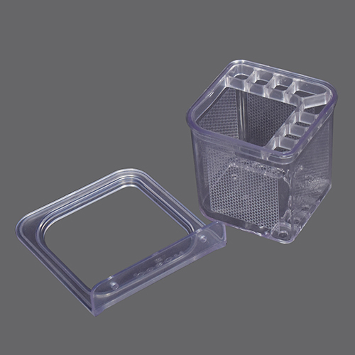 2 In 1 Toothbrush Holder Shelves