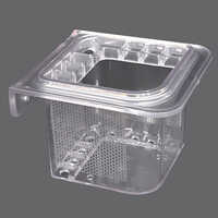 2 In 1 Toothbrush Holder Shelves