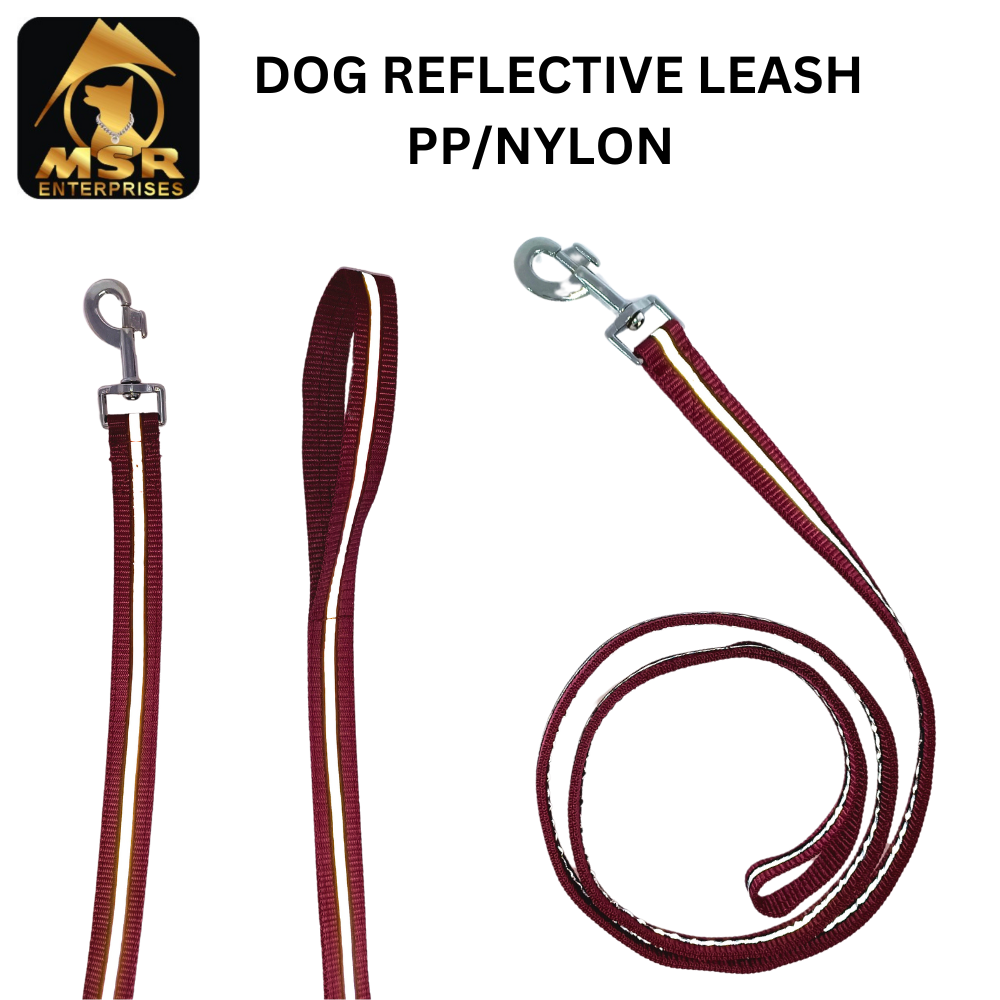 Reflective Dog Leash ( PP / NYLON )