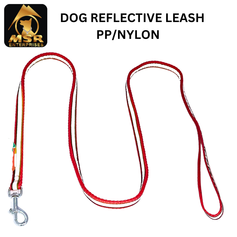 Reflective Dog Leash ( PP / NYLON )