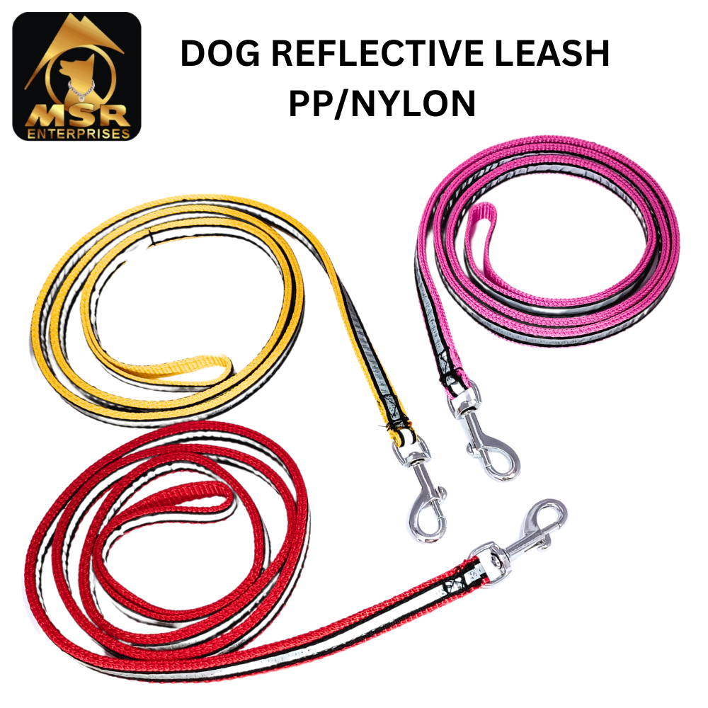 Reflective Dog Leash ( PP / NYLON )