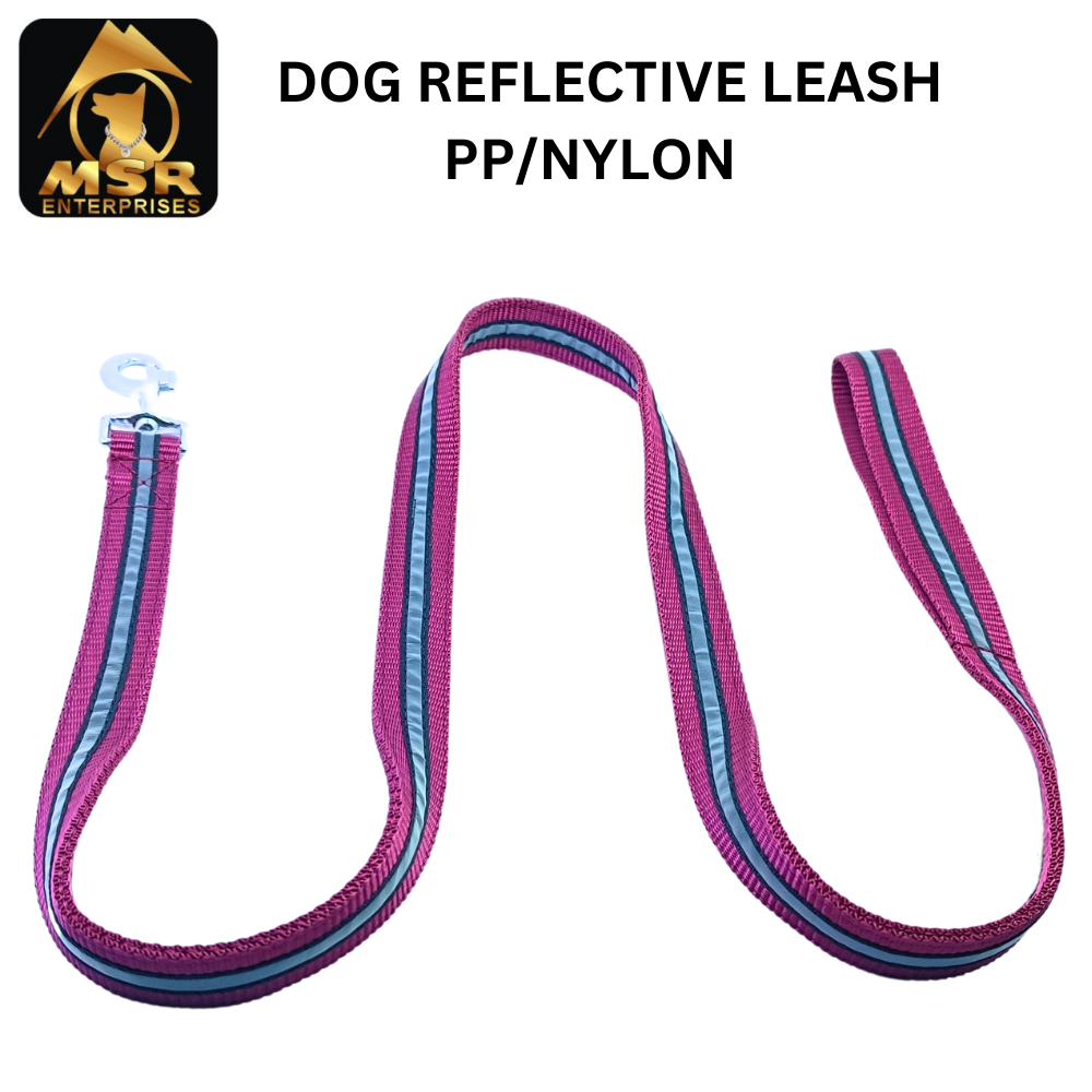 Reflective Dog Leash ( PP / NYLON )