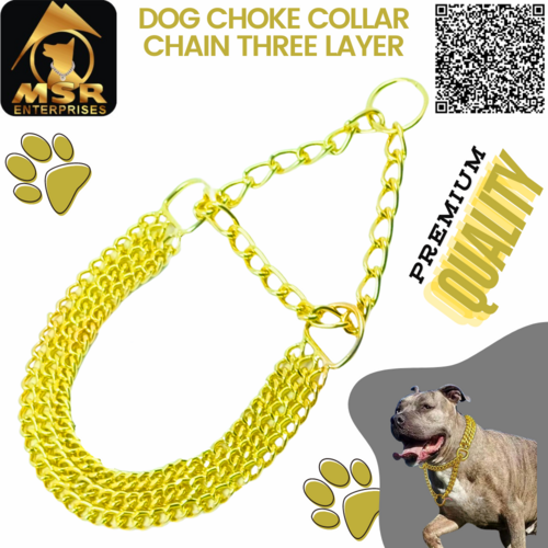 Dog Color Choke Collar Chain 3 Layer with Yellow Gold Plating