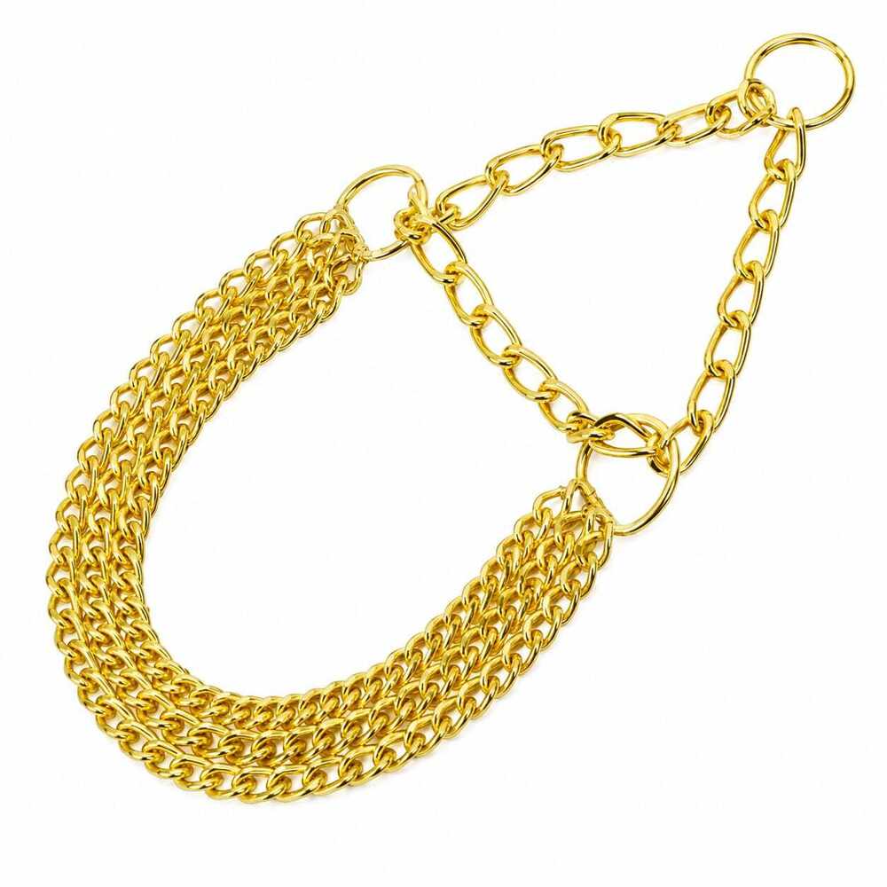 Dog Chain Choke Collar & Color Yellow Gold