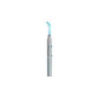 Mini Led Standard Curing Light - Color: Silver