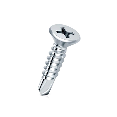 SS Screws
