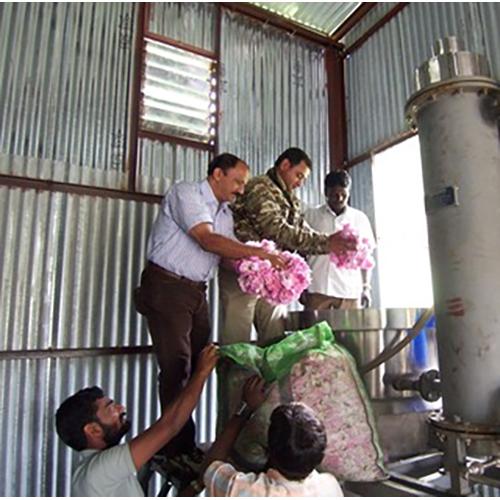 Distillation Plant For Flowers