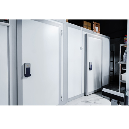 Temperature Mapping Services Of Deep Freezer Room