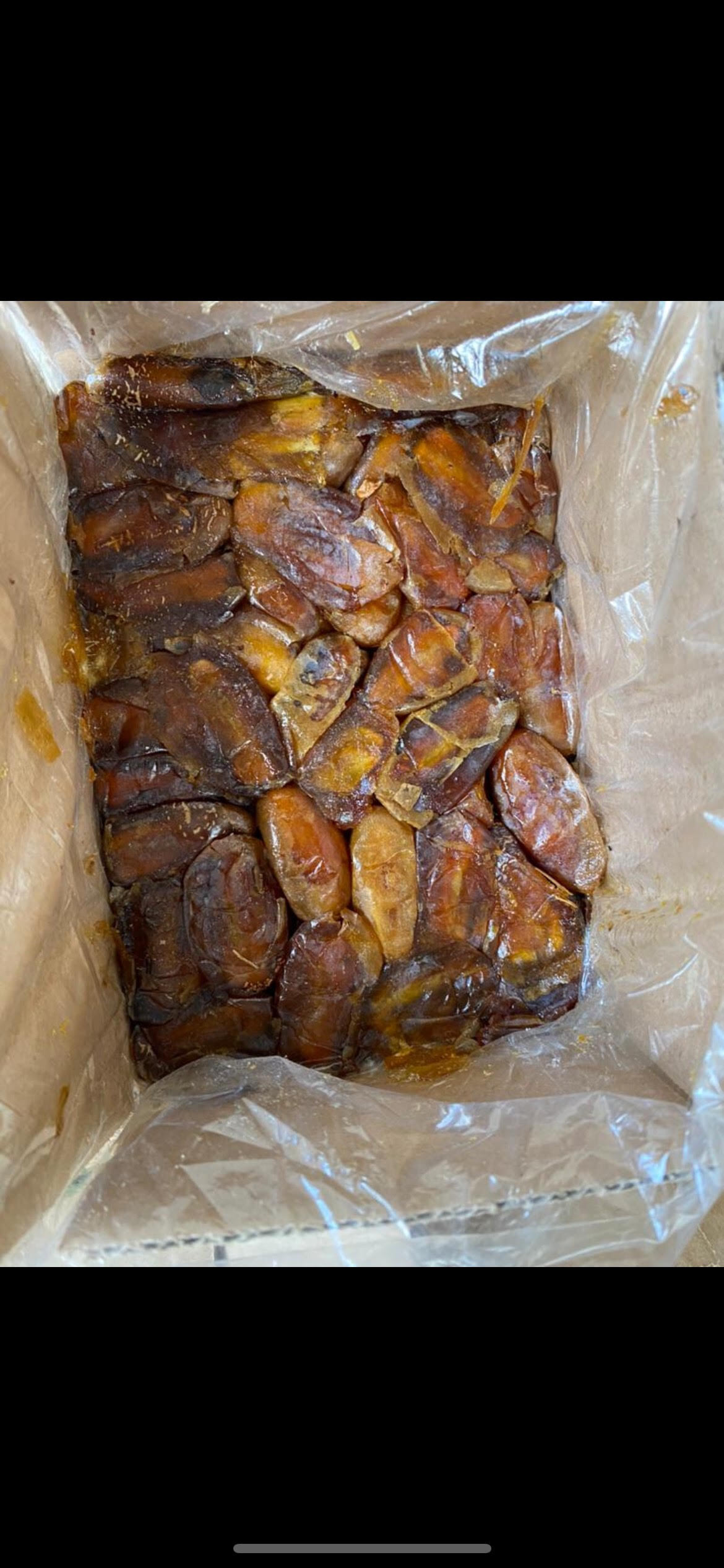 Shahani dates