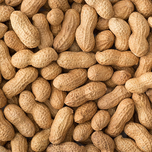 Raw Whole Peanuts