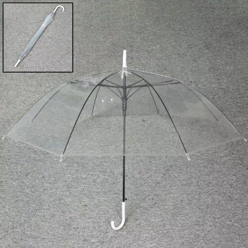 9737 White Transparent Long Umbrella