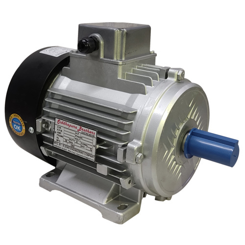 Induction electric motor
