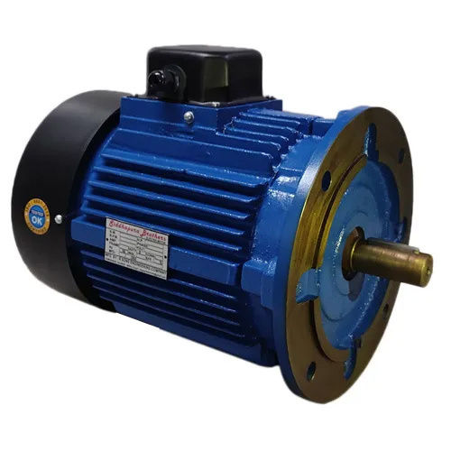 Flange Mounted Electric Motor - Color: Grey & Blue