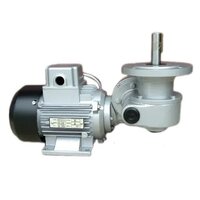 Worm Gear Low Rpm Motor - Color: Grey