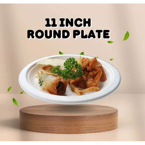 Sugarcane Bagasse 11 Round Plate