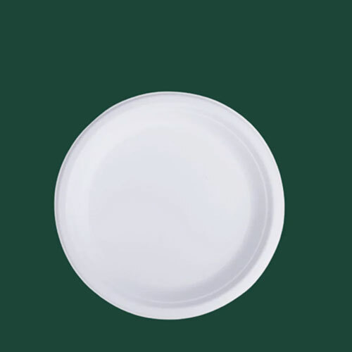 10 Inch Round Plate