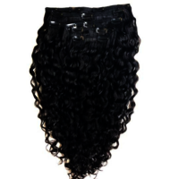 Black Raw Remy Natural Curly Human Hair Clip In Extensions