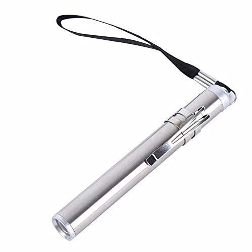 Flash Light Torches Stainless Steel LED Flashlight Round Moon Shape Pen Look Doctor Torch