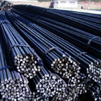 10MM Rungta Steel TMT Bars