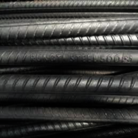 10MM Rungta Steel TMT Bars