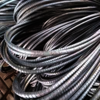 16MM Rungta Steel TMT Bars