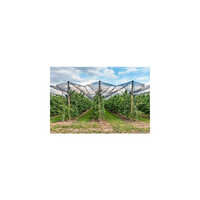 Anti Hail Net - High-quality Pvc, Various Sizes, Multiple Color Options | Durable Protection For Agriculture And Commercial Use, 1-2 Year Warranty