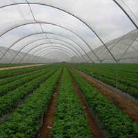 HDPE Agro Shade Net