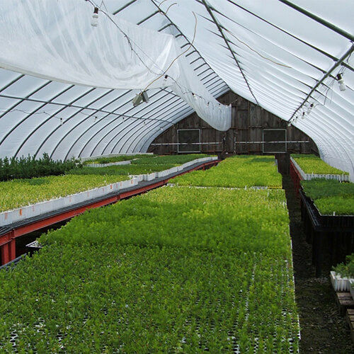 Hdpe Agricultural Shade Net - Coating Type: Polished