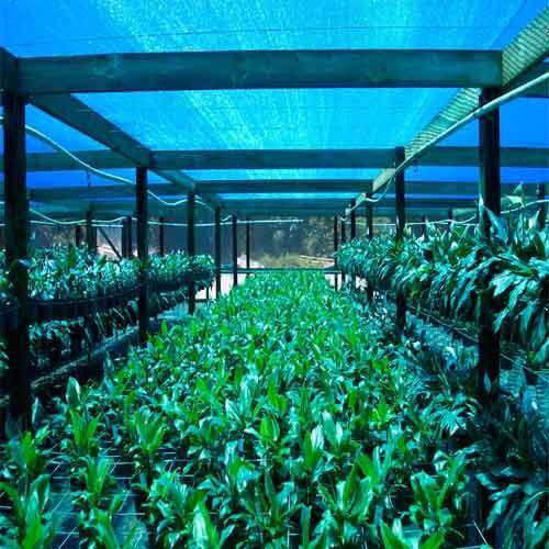 Blue Agro Shade Net - Coating Type: Polished