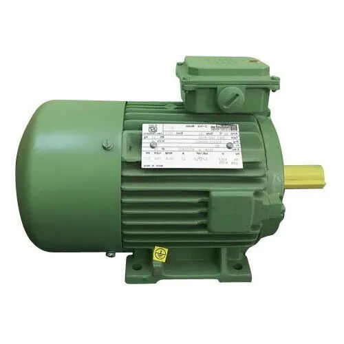 Hindustan Three Phase AC Motor