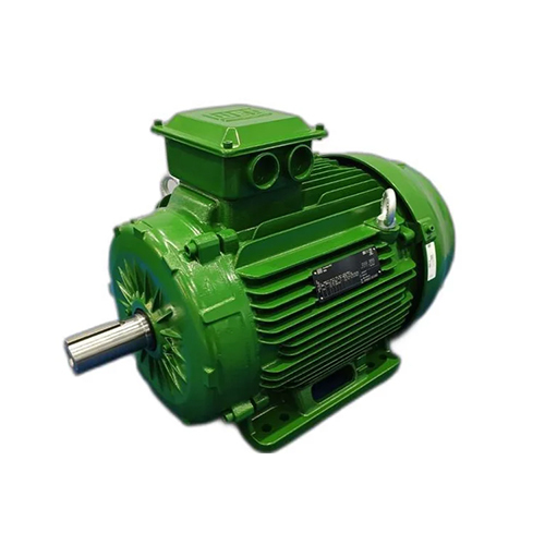 Weg Electric Motor