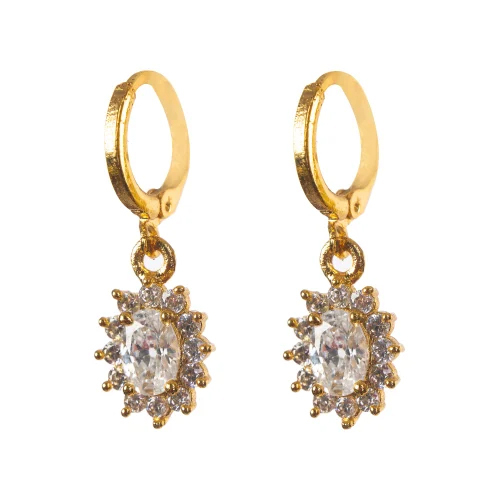 AD 310 Ladies Brass Earrings